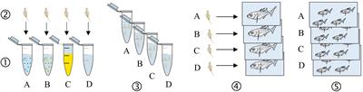 Microplastic Vector Effects: Are Fish at Risk When Exposed via the Trophic Chain?